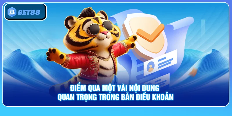 Điều Khoản Điều Kiện